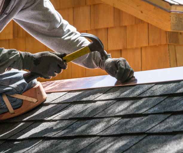 Best Roof Gutter Cleaning  in Calcium, NY